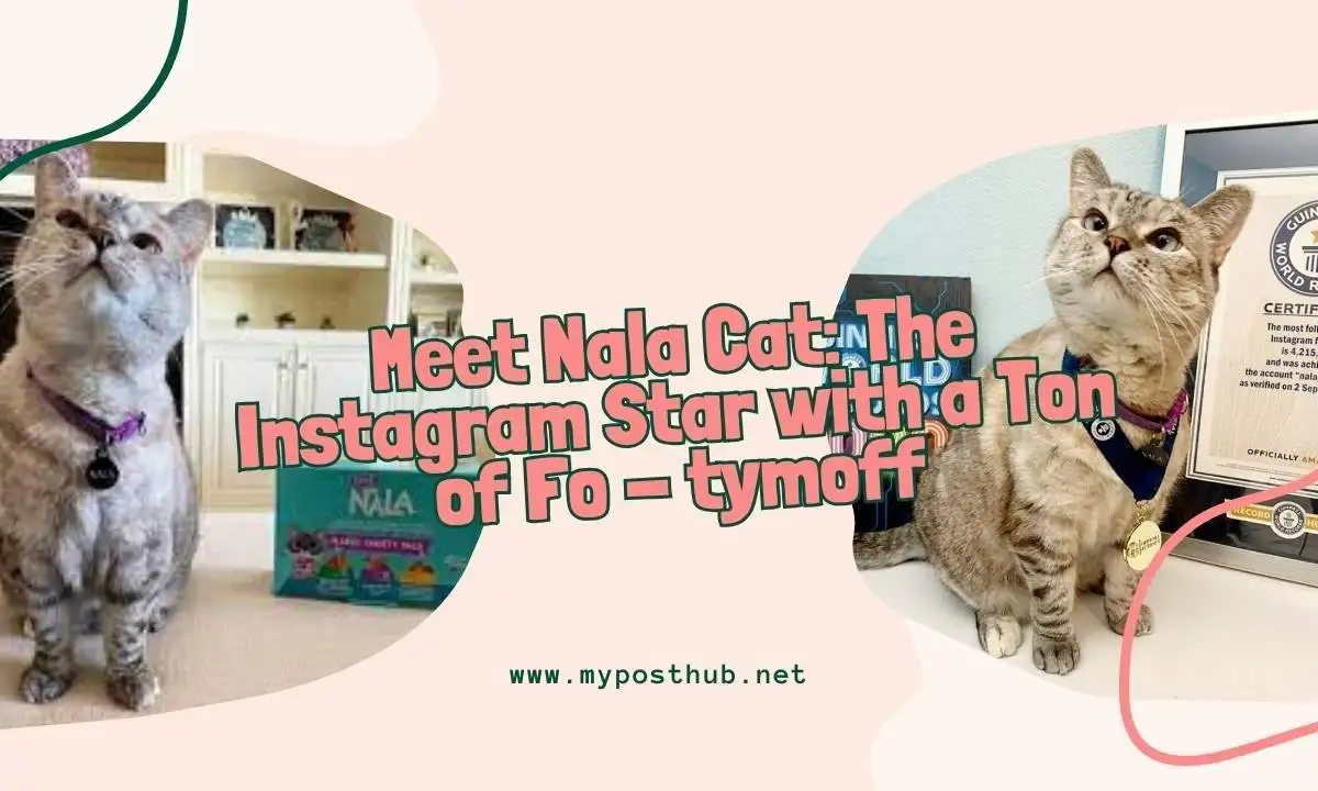 Meet Nala Cat: The Instagram Star with a Ton of Fo – tymoff