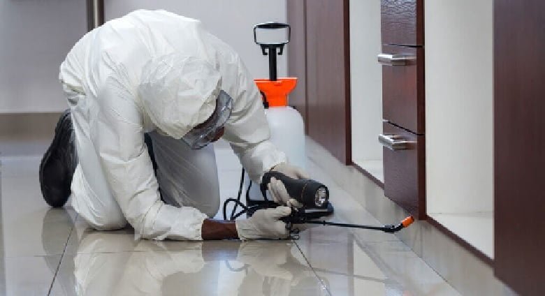 Tips and ideas on furniture pest control