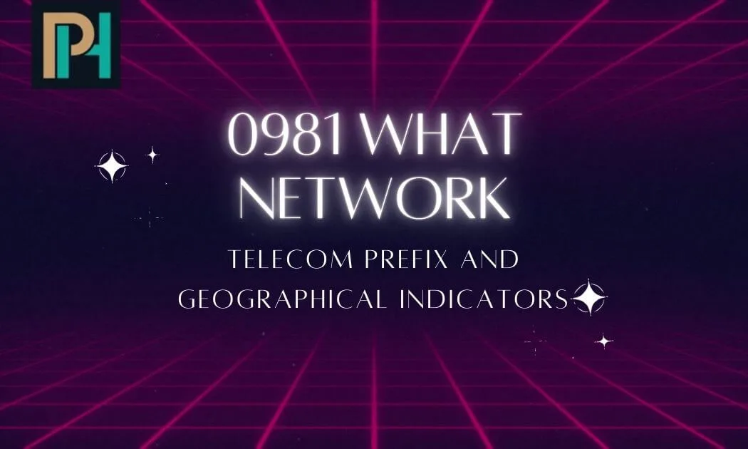 0981 What Network: Telecom Prefix and Geographical Indicators